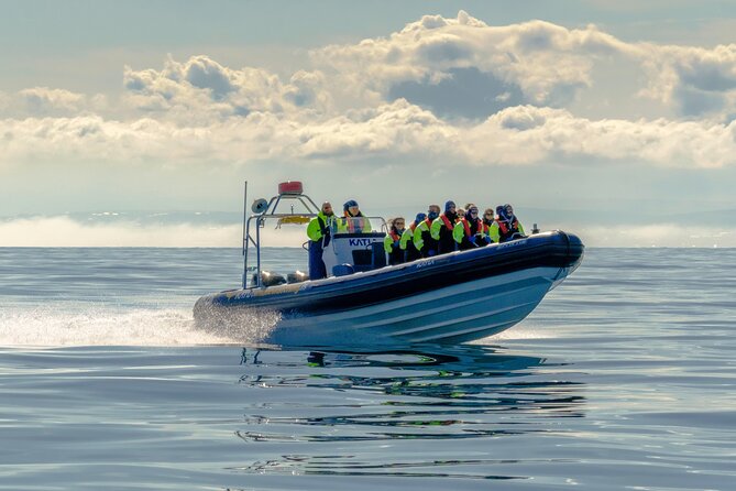 Speedboat Whale Watching Small-Group Tour in Reykjavik - The Sun Voyager from the water