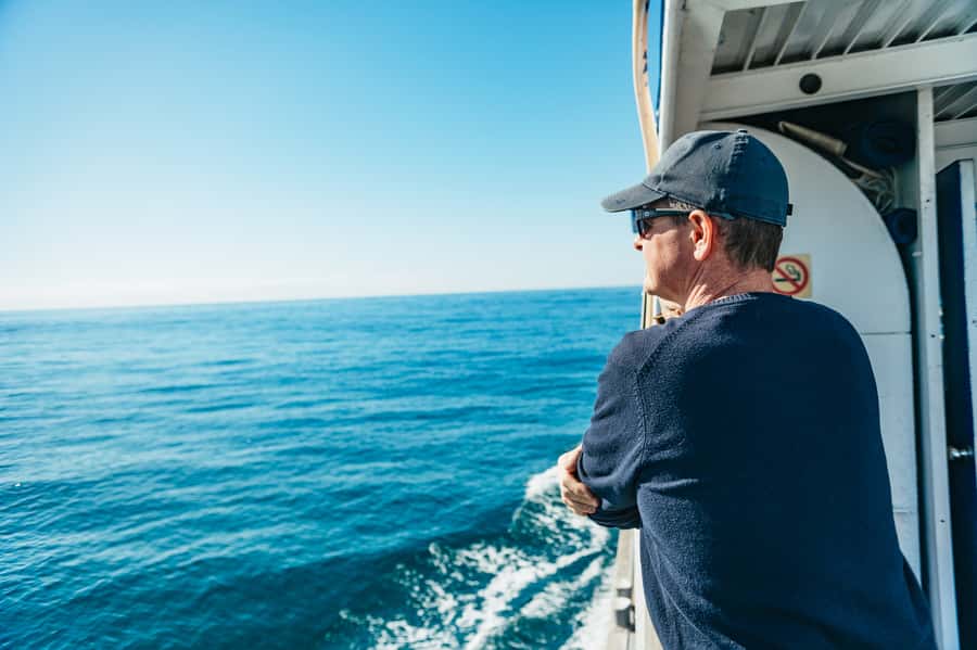 Spirit of Gold Coast 2.5-Hour Whale Watching Tour - Finding humpback whales from June to October