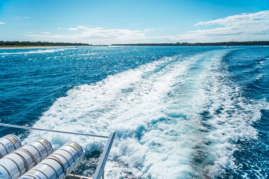 Spirit of Gold Coast 2.5-Hour Whale Watching Tour - What the 360-degree decks are really like