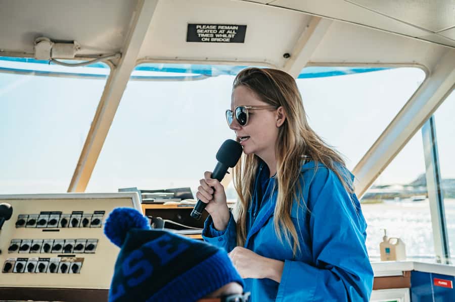 Spirit of Gold Coast 2.5-Hour Whale Watching Tour - A realistic look at whale sightings