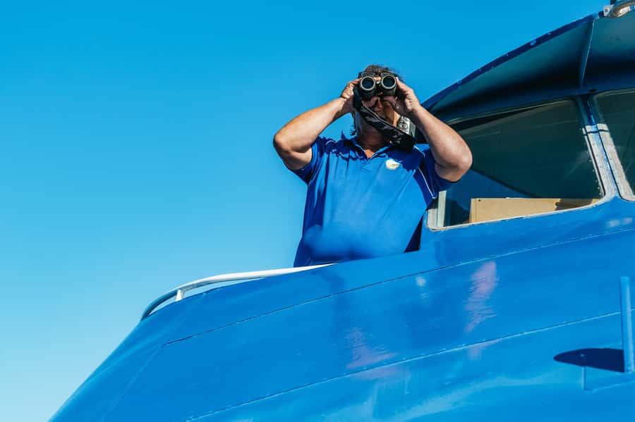 Spirit of Gold Coast 2.5-Hour Whale Watching Tour - Is $52 good value for 150 minutes?