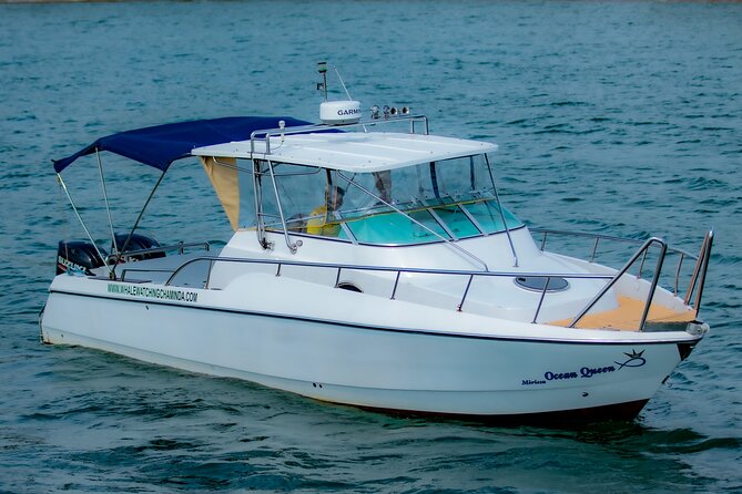 Sports Boat- Private Whale Watching Trip( free breakfast & paid pick-up) - Key points at a glance