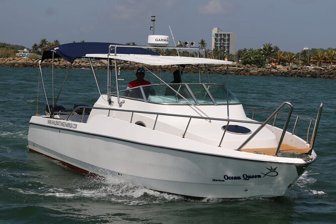 Sports Boat- Private Whale Watching Trip( free breakfast & paid pick-up) - Leaving Mirissa at 7:00 a.m.