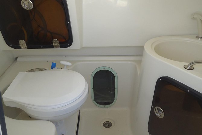 Sports Boat- Private Whale Watching Trip( free breakfast & paid pick-up) - What the 4.8 rating tells you