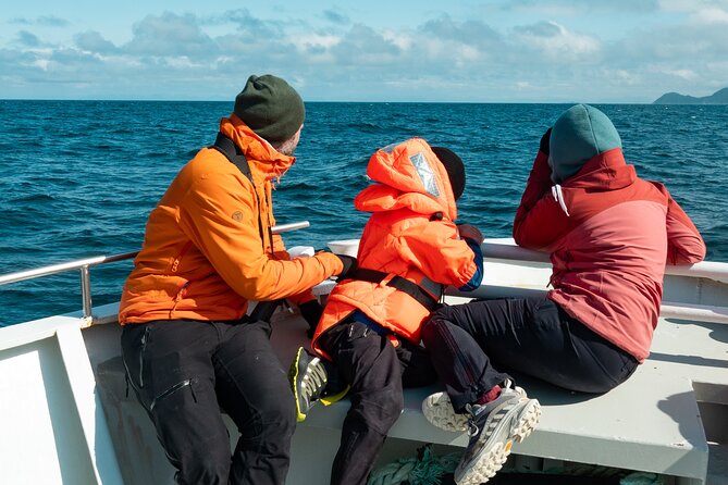 Summer Whale Safari in Andenes (Andøy, Vesterålen) - The whale search, not a quick sightseeing loop