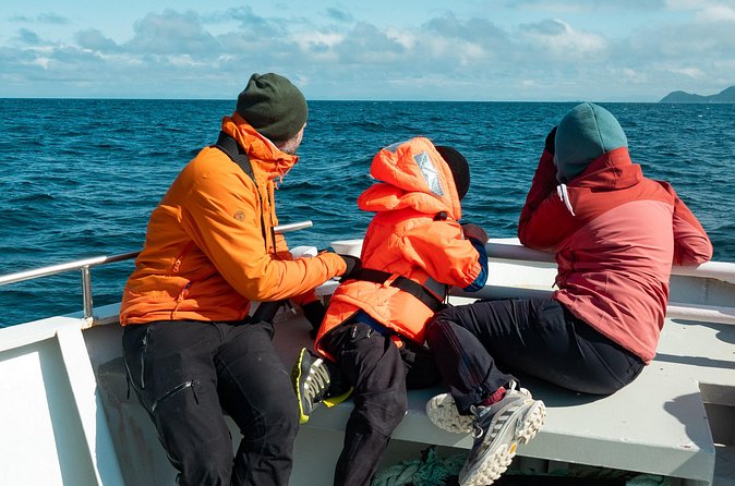 Summer Whale Safari in Andenes (Andøy, Vesterålen) - Soup, coffee, and a warm place to regroup
