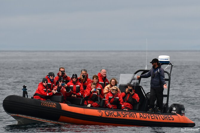 Summer Whale Watching Tour in a Zodiac Boat in Victoria - The ride is part of the attraction, and part of the risk