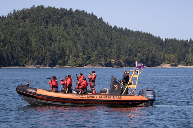 Summer Whale Watching Tour in a Zodiac Boat in Victoria - Guides, safety, and the quality of the outing