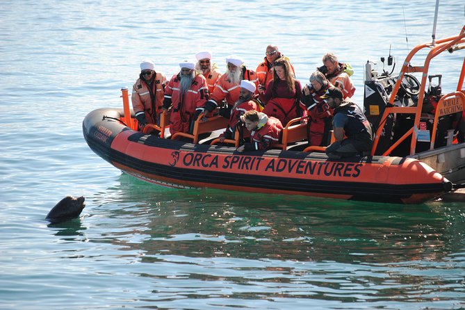 Summer Whale Watching Tour in a Zodiac Boat in Victoria - Is $144.30 a fair price?
