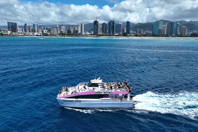 Sunset Cruise & Whale Watching from Oahu - Who Will Enjoy This Cruise Most?