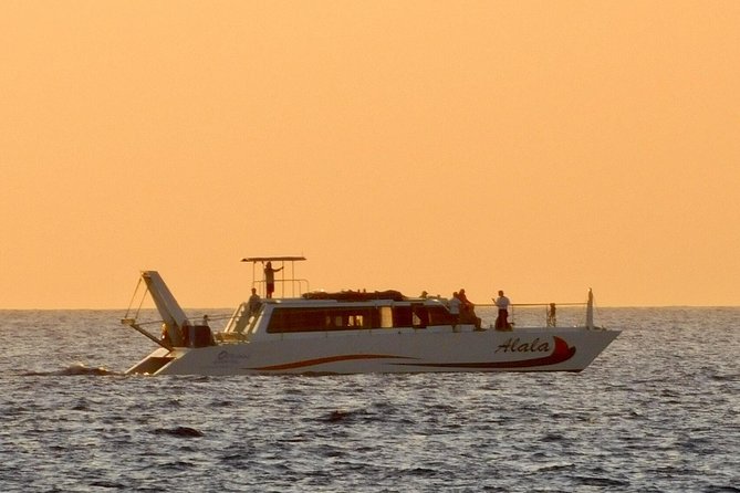 Sunset Cruise with the Whales on our Power Catamaran - Key Things To Know Before You Go