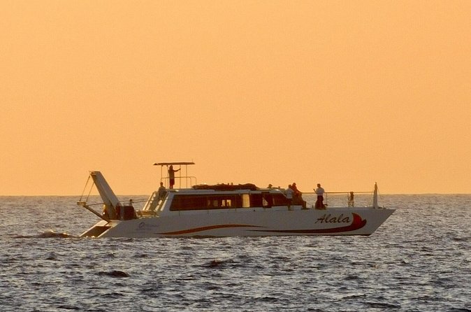 Sunset Cruise with the Whales on our Power Catamaran - Who Will Enjoy This Cruise Most?