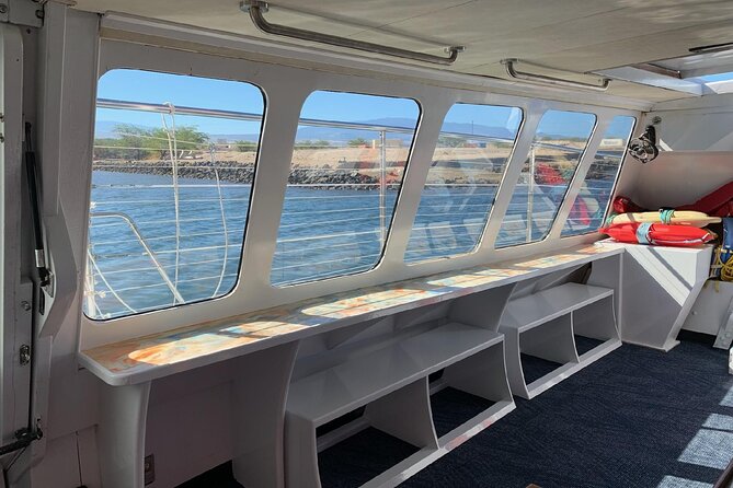 Sunset Cruise with the Whales on our Power Catamaran - Booking, Weather, and Cancellation Details