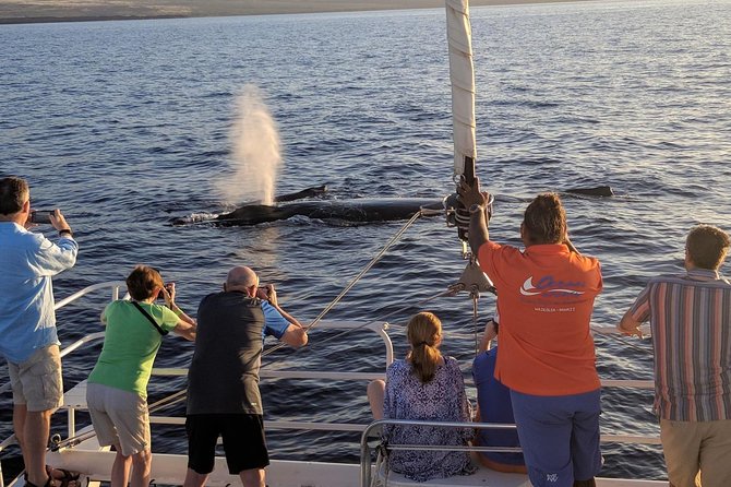 Sunset Cruise with the Whales on our Sailing Catamaran - Sailing out along the Kohala Coast