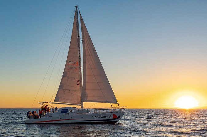 Sunset Cruise with the Whales on our Sailing Catamaran - The hydrophone is the special touch