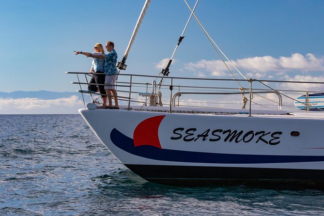 Sunset Cruise with the Whales on our Sailing Catamaran - What $165 buys you