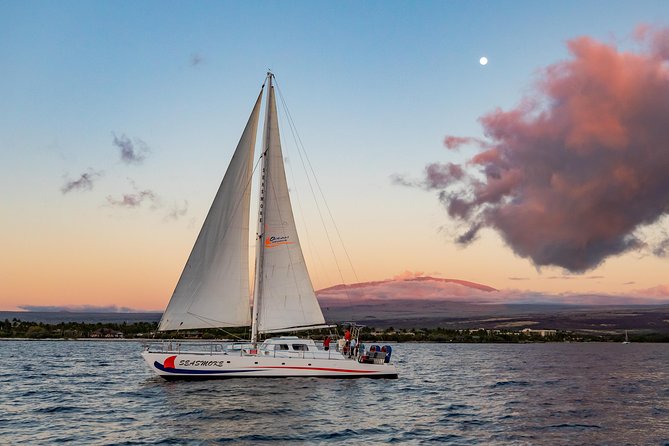 Sunset Cruise with the Whales on our Sailing Catamaran - A catamaran built for a social evening