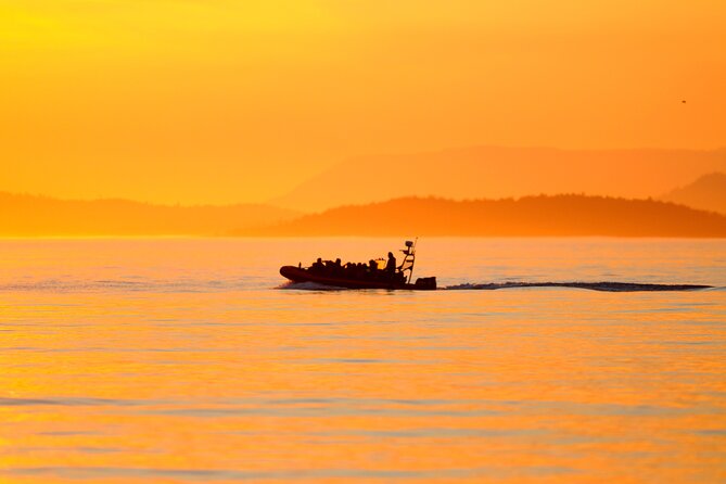 Sunset Whale and Wildlife Adventure in Cowichan Bay - Finding whales across the Salish Sea