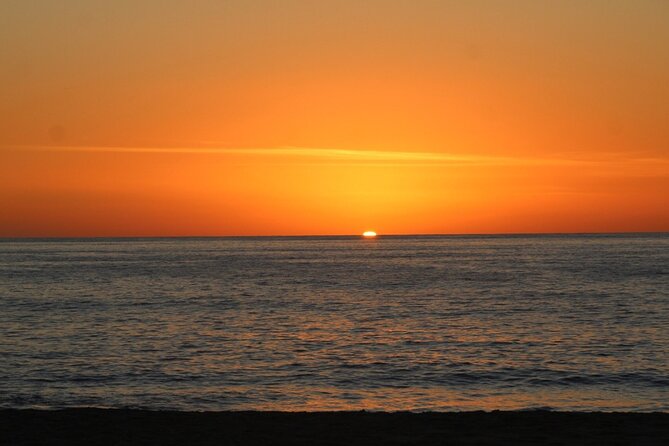Sunset Whale Cruise in Cabo San Lucas - What the marine biologist adds