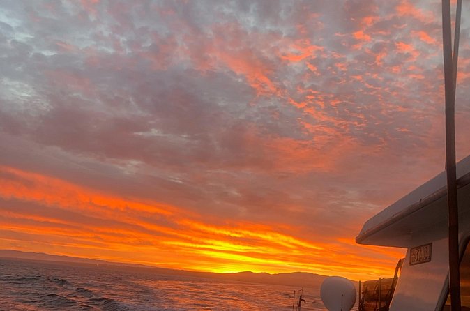 Sunset Whale Watch Tour in Monterey - Booking, weather, and cancellation details