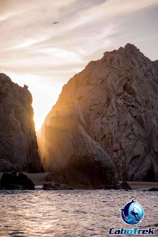 Sunset Whale Watching Cruise in Cabo San Lucas - Key points to know before booking