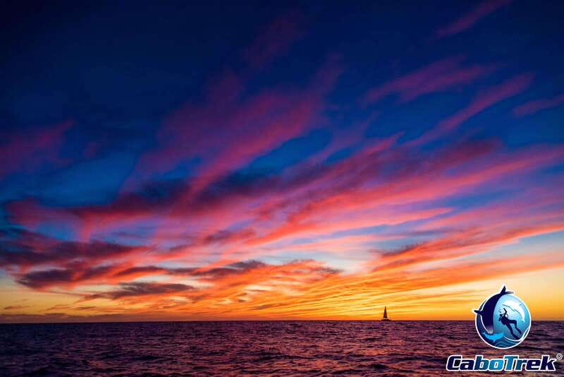 Sunset Whale Watching Cruise in Cabo San Lucas - Sunset views near the Cabo arch