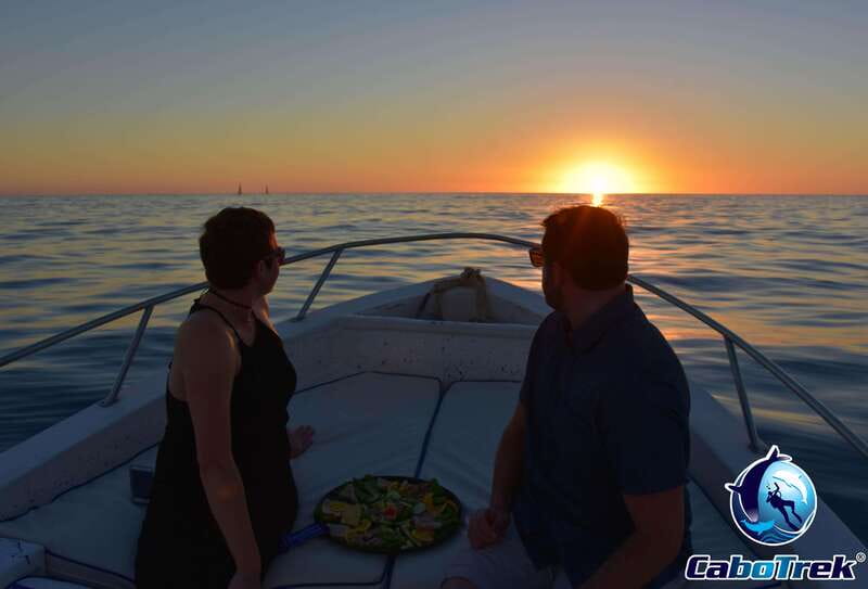Sunset Whale Watching Cruise in Cabo San Lucas - Wine, appetizers, and a relaxed finish