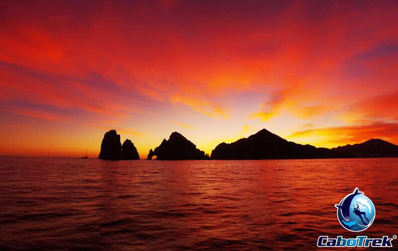 Sunset Whale Watching Cruise in Cabo San Lucas - Safety briefing and the first moments offshore