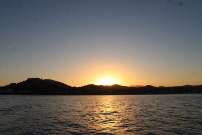 Sunset Whale Watching in San Jose del Cabo
