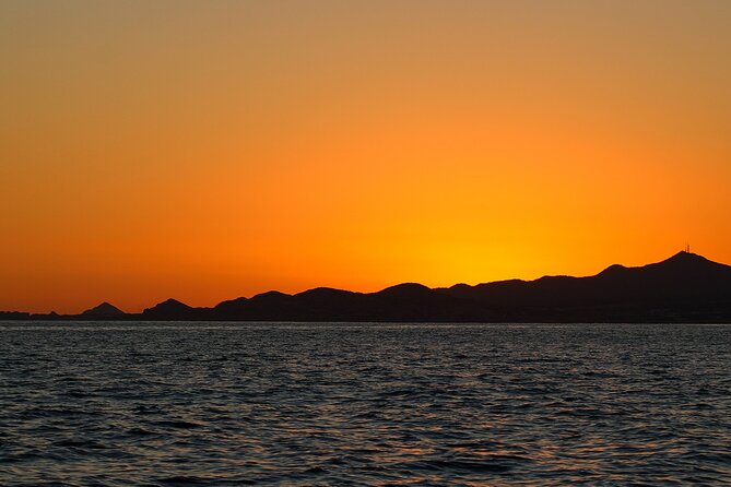 Sunset Whale Watching in San Jose del Cabo - Who Will Get the Most From This Tour?