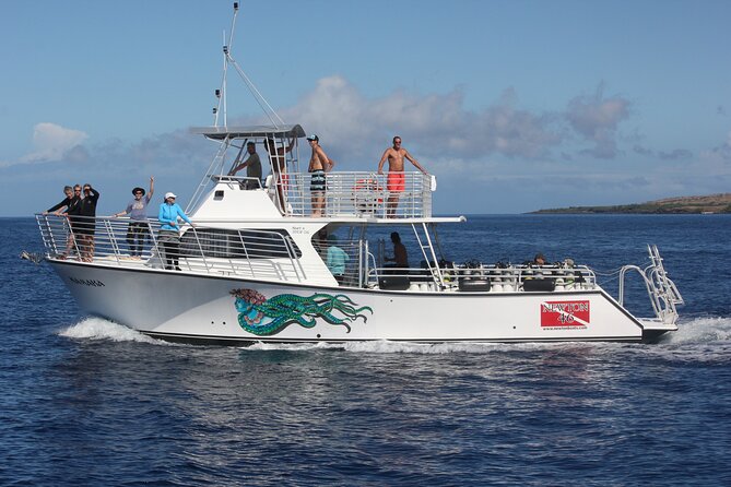 Sunset Whale Watching Shared Activity - Why this sunset cruise works so well