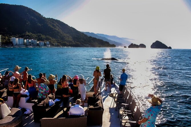 Sunsets and Whales Mega Yachts ALL INCLUSIVE: Puerto Vallarta - A sunset yacht ride with whales as the headline act