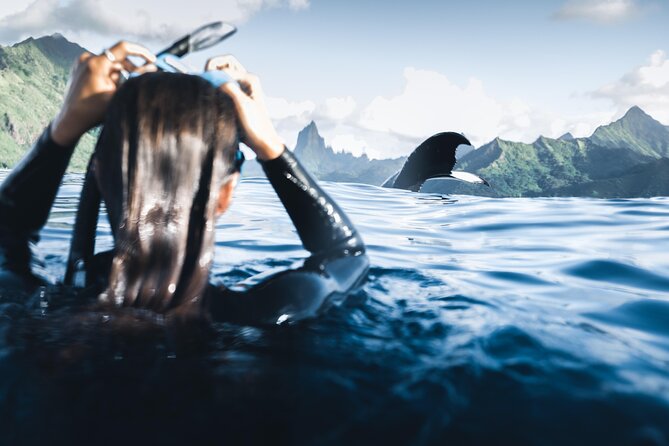 Swimming with Whales in Moorea (Half Day tour) - Setting out from Moorea for the whale search