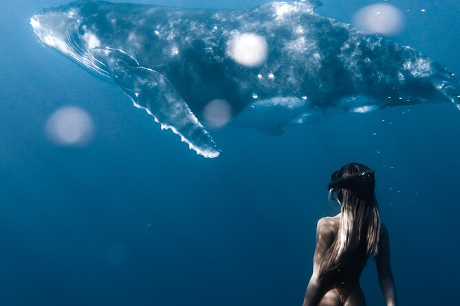 Swimming with Whales in Moorea (Half Day tour) - Swimming ability matters more than confidence alone