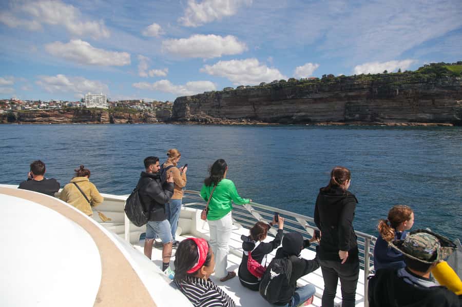 Sydney: Discovery Whale Watching Tour by Catamaran - What the crew adds to the experience