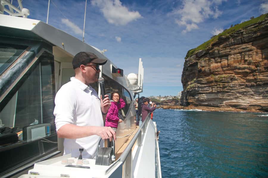 Sydney: Discovery Whale Watching Tour by Catamaran - Is $63 good value for Sydney?