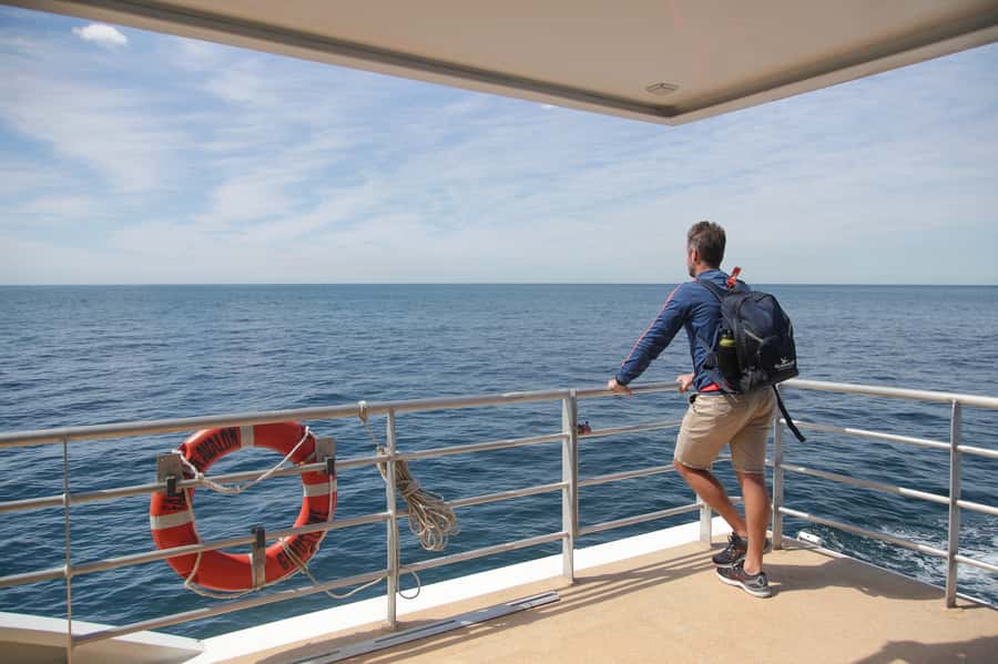 Sydney: Discovery Whale Watching Tour by Catamaran - Should you book the Fantasea Avalon?