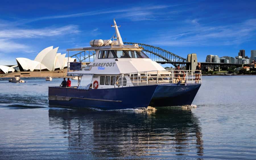 Sydney: Scenic Whale Watching Cruise - Whales Guaranteed - How the $45 price measures up
