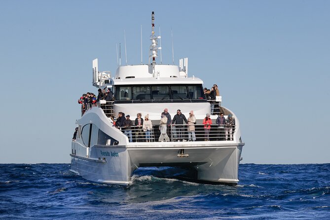 Sydney Whale Watching - 2.5hr Discovery Cruise - Reaching the Pacific after only 25 minutes