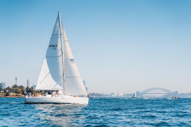 Sydney Whale Watching Cruise from Circular Quay - Live commentary from the crew