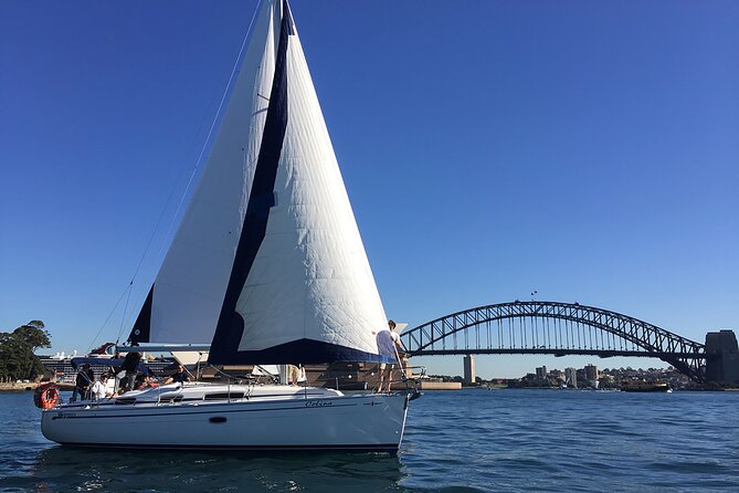 Sydney Whale Watching Cruise from Circular Quay - The whale guarantee and its limits