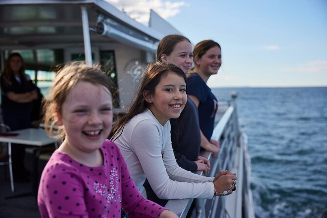 Sydney Whale-Watching Cruise Including Lunch or Breakfast - Watching humpback whales from May to November