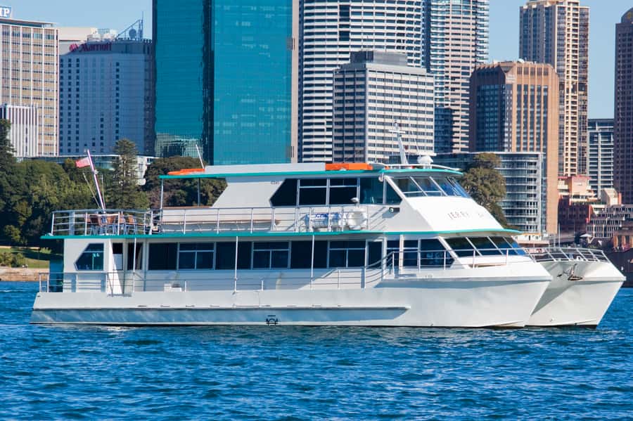 Sydney Whale Watching Cruise with Breakfast or Lunch - What the four-hour itinerary feels like