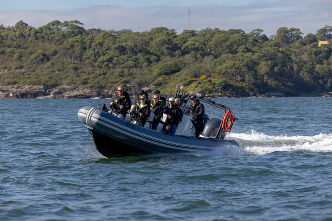 Sydney Whale Watching on Small RIB - Starting at Campbells Cove beside Circular Quay