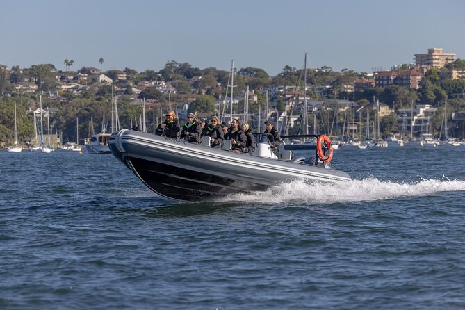 Sydney Whale Watching on Small RIB - Passing Sydney Heads after 15 minutes