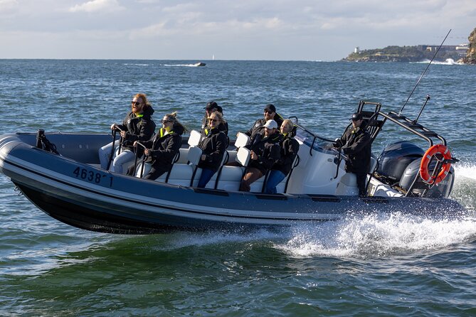 Sydney Whale Watching on Small RIB - Spending 85 minutes looking for humpback whales
