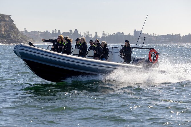 Sydney Whale Watching on Small RIB - The fast return to Circular Quay