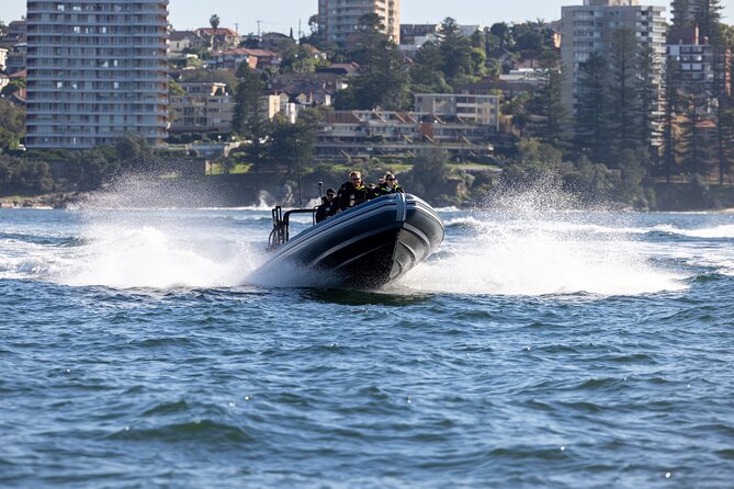 Sydney Whale Watching on Small RIB - Is $98.93 a fair price?