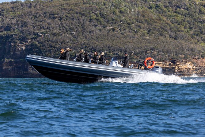 Sydney Whale Watching on Small RIB - Who will enjoy this RIB tour most?