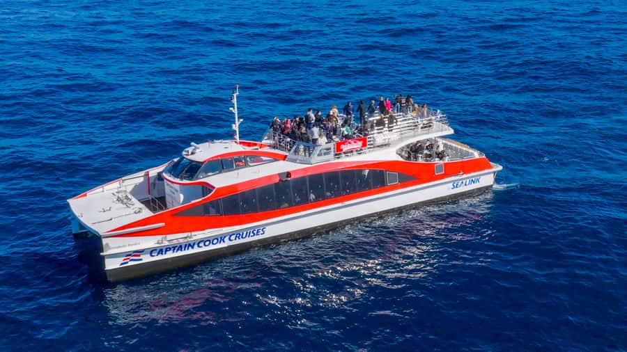 Sydney: Whale Watching & Wildlife Cruise - Commentary from the guide and captain